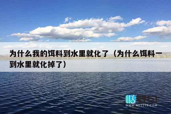 为什么我的饵料到水里就化了（为什么饵料一到水里就化掉了）