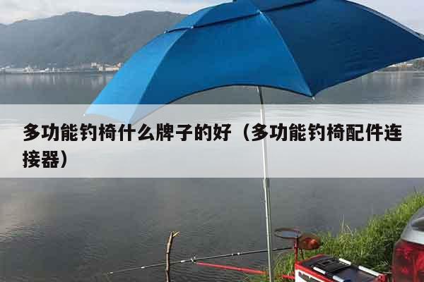多功能钓椅什么牌子的好（多功能钓椅配件连接器）