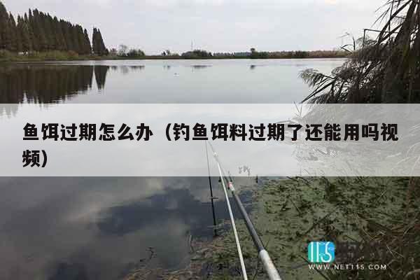 鱼饵过期怎么办（钓鱼饵料过期了还能用吗视频）