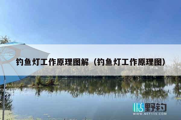 钓鱼灯工作原理图解（钓鱼灯工作原理图）