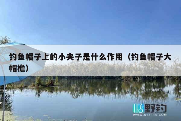 钓鱼帽子上的小夹子是什么作用（钓鱼帽子大帽檐）