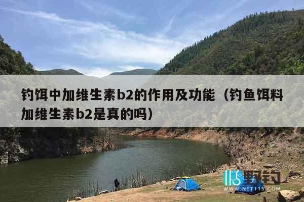 钓饵中加维生素b2的作用及功能（钓鱼饵料加维生素b2是真的吗）