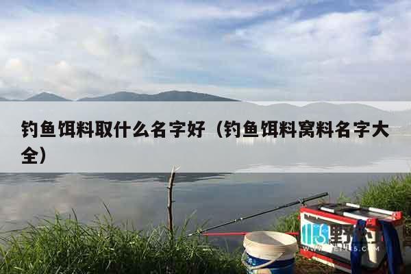 钓鱼饵料取什么名字好（钓鱼饵料窝料名字大全）