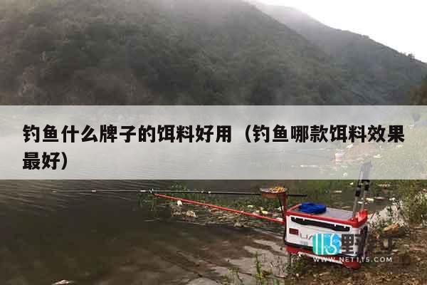 钓鱼什么牌子的饵料好用（钓鱼哪款饵料效果最好）