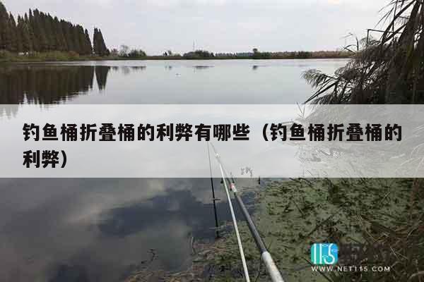 钓鱼桶折叠桶的利弊有哪些（钓鱼桶折叠桶的利弊）