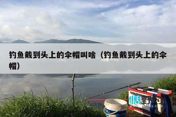 钓鱼戴到头上的伞帽叫啥（钓鱼戴到头上的伞帽）