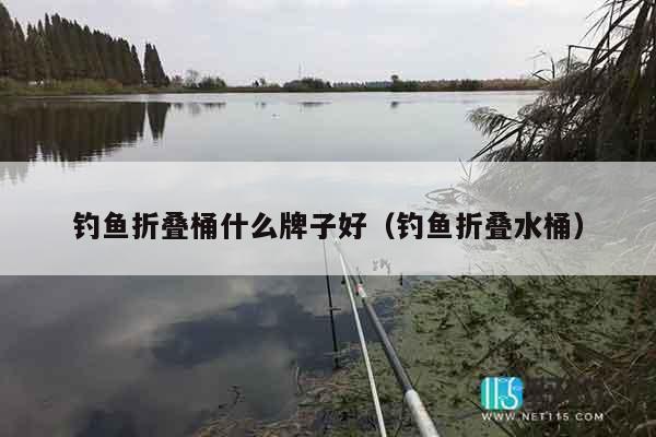 钓鱼折叠桶什么牌子好（钓鱼折叠水桶）