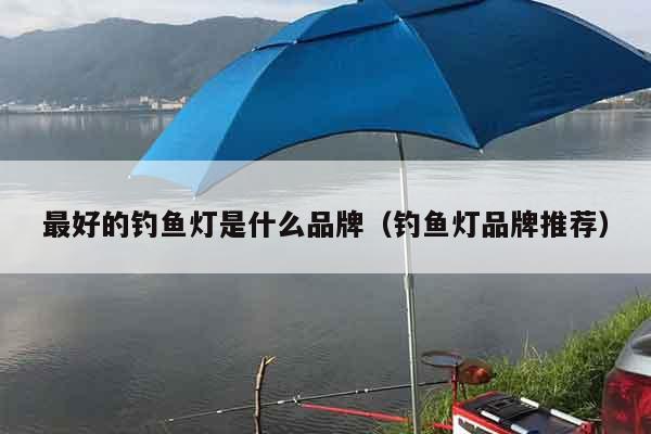 最好的钓鱼灯是什么品牌（钓鱼灯品牌推荐）