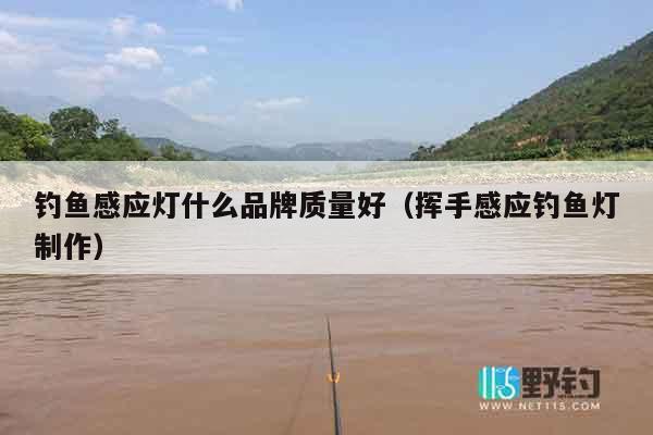 钓鱼感应灯什么品牌质量好（挥手感应钓鱼灯制作）
