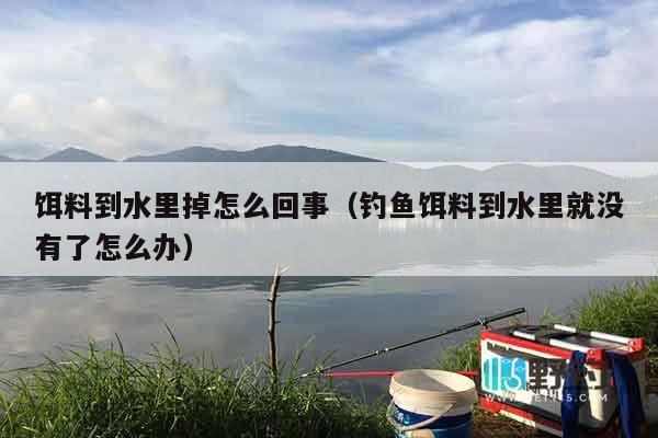 饵料到水里掉怎么回事（钓鱼饵料到水里就没有了怎么办）