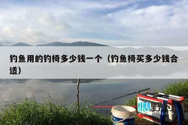 钓鱼用的钓椅多少钱一个（钓鱼椅买多少钱合适）