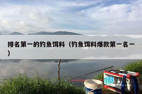 排名第一的钓鱼饵料（钓鱼饵料爆款第一名一）