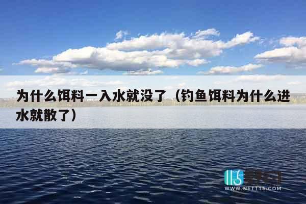为什么饵料一入水就没了（钓鱼饵料为什么进水就散了）