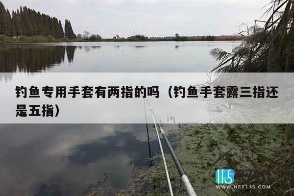 钓鱼专用手套有两指的吗（钓鱼手套露三指还是五指）