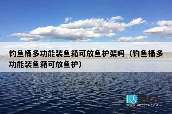 钓鱼桶多功能装鱼箱可放鱼护架吗（钓鱼桶多功能装鱼箱可放鱼护）