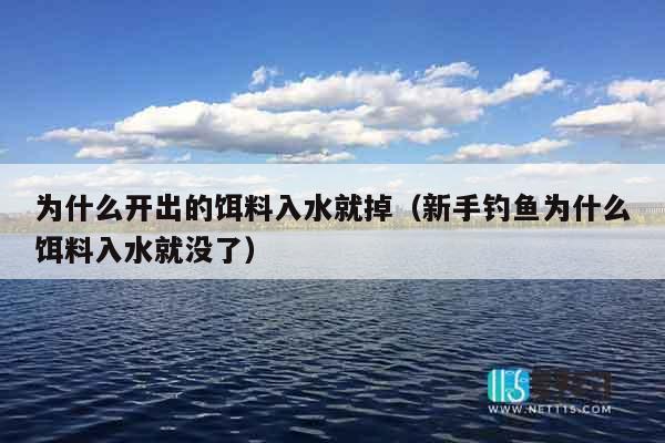 为什么开出的饵料入水就掉（新手钓鱼为什么饵料入水就没了）
