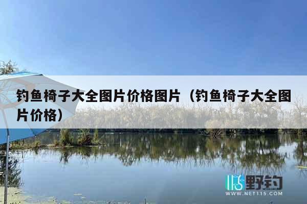 钓鱼椅子大全图片价格图片（钓鱼椅子大全图片价格）