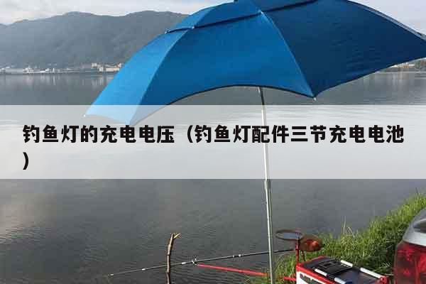 钓鱼灯的充电电压（钓鱼灯配件三节充电电池）