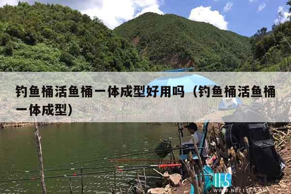 钓鱼桶活鱼桶一体成型好用吗（钓鱼桶活鱼桶一体成型）