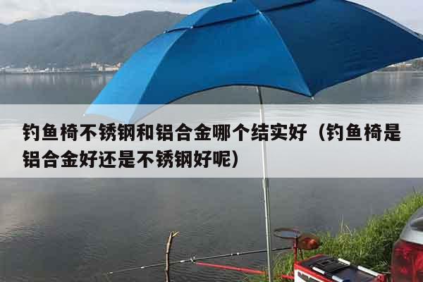 钓鱼椅不锈钢和铝合金哪个结实好（钓鱼椅是铝合金好还是不锈钢好呢）