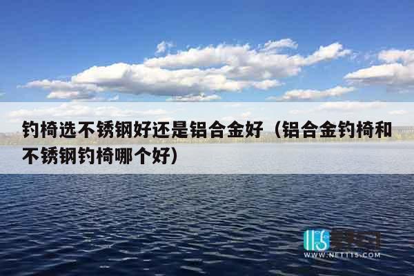钓椅选不锈钢好还是铝合金好（铝合金钓椅和不锈钢钓椅哪个好）