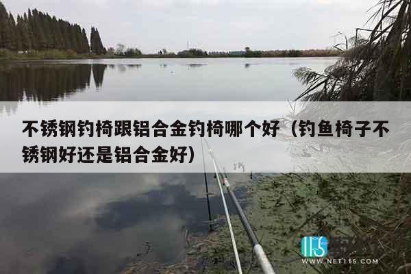 不锈钢钓椅跟铝合金钓椅哪个好（钓鱼椅子不锈钢好还是铝合金好）