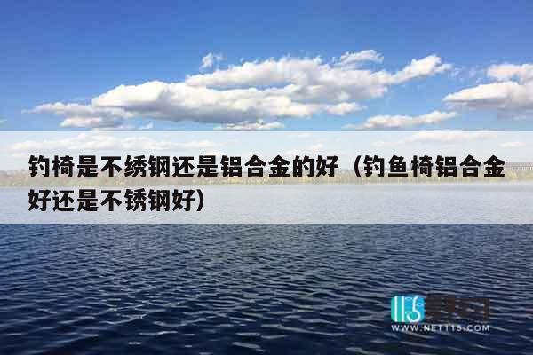 钓椅是不绣钢还是铝合金的好（钓鱼椅铝合金好还是不锈钢好）