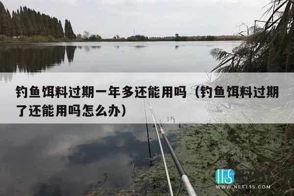 钓鱼饵料过期一年多还能用吗（钓鱼饵料过期了还能用吗怎么办）