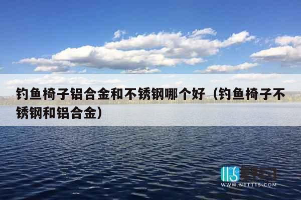钓鱼椅子铝合金和不锈钢哪个好（钓鱼椅子不锈钢和铝合金）
