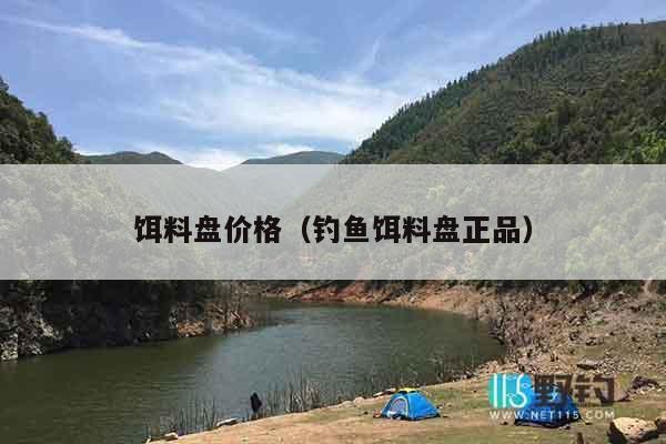 饵料盘价格（钓鱼饵料盘正品）