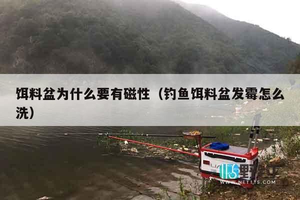 饵料盆为什么要有磁性（钓鱼饵料盆发霉怎么洗）