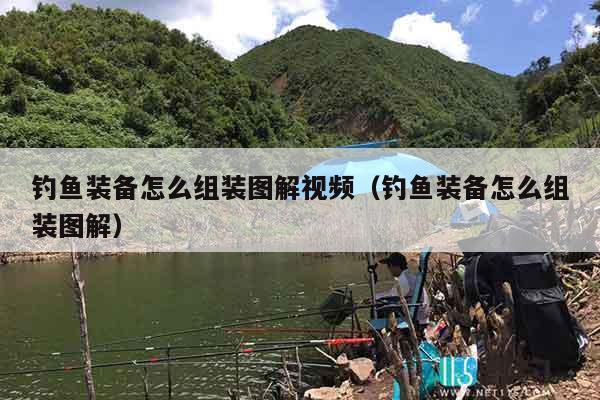 钓鱼装备怎么组装图解视频（钓鱼装备怎么组装图解）