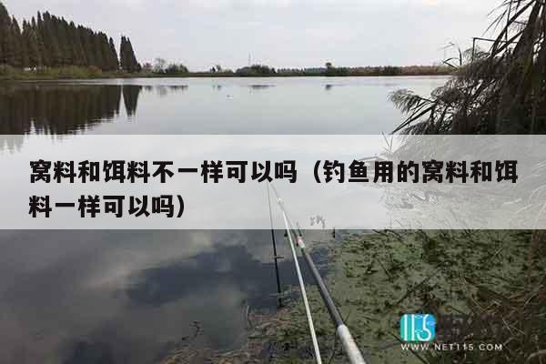 窝料和饵料不一样可以吗（钓鱼用的窝料和饵料一样可以吗）