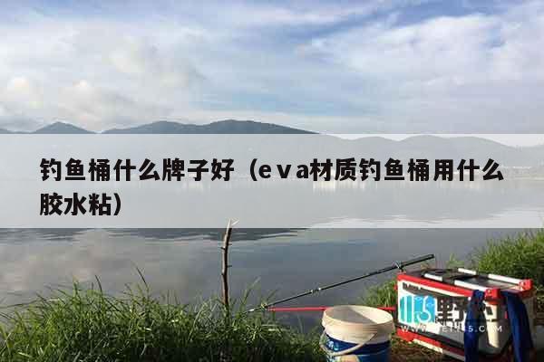 钓鱼桶什么牌子好（eⅴa材质钓鱼桶用什么胶水粘）