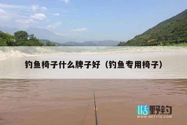 钓鱼椅子什么牌子好（钓鱼专用椅子）