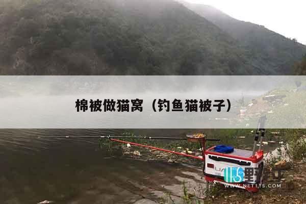 棉被做猫窝（钓鱼猫被子）