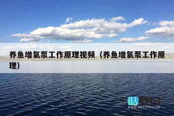 养鱼增氧泵工作原理视频（养鱼增氧泵工作原理）