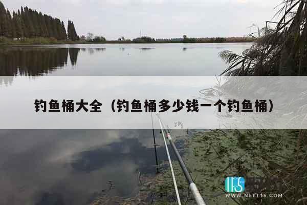 钓鱼桶大全（钓鱼桶多少钱一个钓鱼桶）