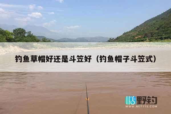 钓鱼草帽好还是斗笠好（钓鱼帽子斗笠式）