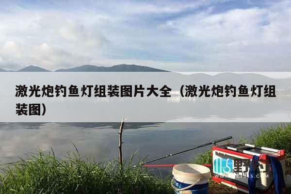 激光炮钓鱼灯组装图片大全（激光炮钓鱼灯组装图）
