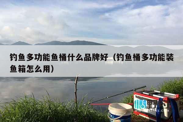 钓鱼多功能鱼桶什么品牌好（钓鱼桶多功能装鱼箱怎么用）