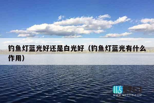 钓鱼灯蓝光好还是白光好（钓鱼灯蓝光有什么作用）
