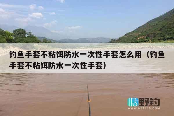 钓鱼手套不粘饵防水一次性手套怎么用（钓鱼手套不粘饵防水一次性手套）
