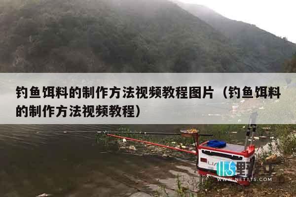 钓鱼饵料的制作方法视频教程图片（钓鱼饵料的制作方法视频教程）