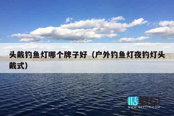 头戴钓鱼灯哪个牌子好（户外钓鱼灯夜钓灯头戴式）