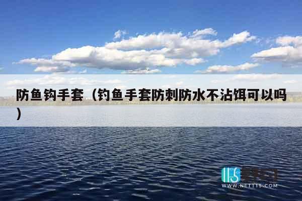 防鱼钩手套（钓鱼手套防刺防水不沾饵可以吗）