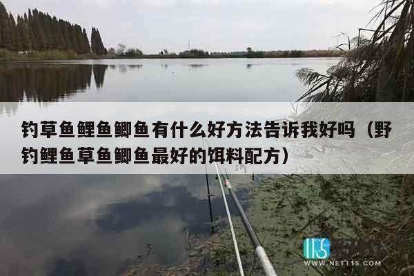 钓草鱼鲤鱼鲫鱼有什么好方法告诉我好吗（野钓鲤鱼草鱼鲫鱼最好的饵料配方）