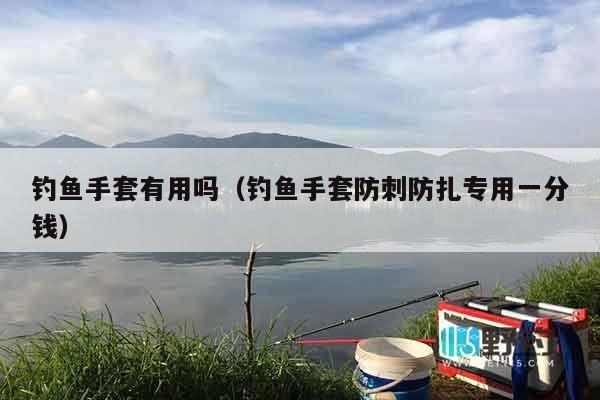钓鱼手套有用吗（钓鱼手套防刺防扎专用一分钱）