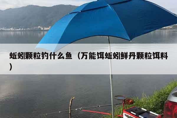 蚯蚓颗粒钓什么鱼（万能饵蚯蚓鲜丹颗粒饵料）