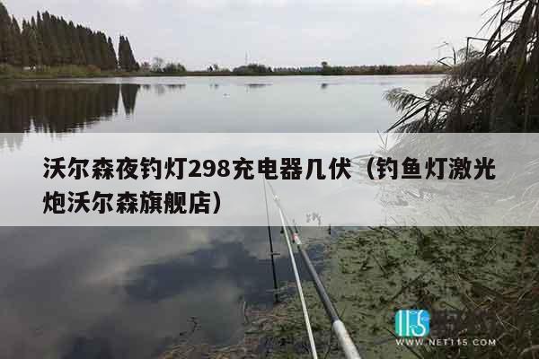 沃尔森夜钓灯298充电器几伏（钓鱼灯激光炮沃尔森旗舰店）